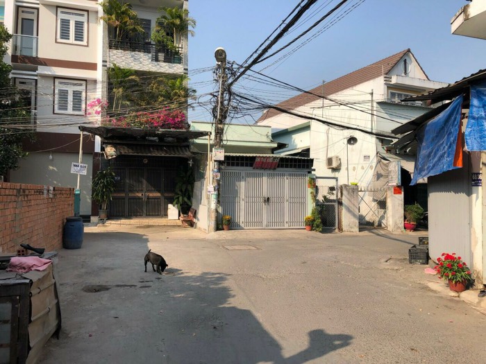 Đất nền Q12 chỉ hơn 3 tỷ x lựa chọn tốt để đầu tư